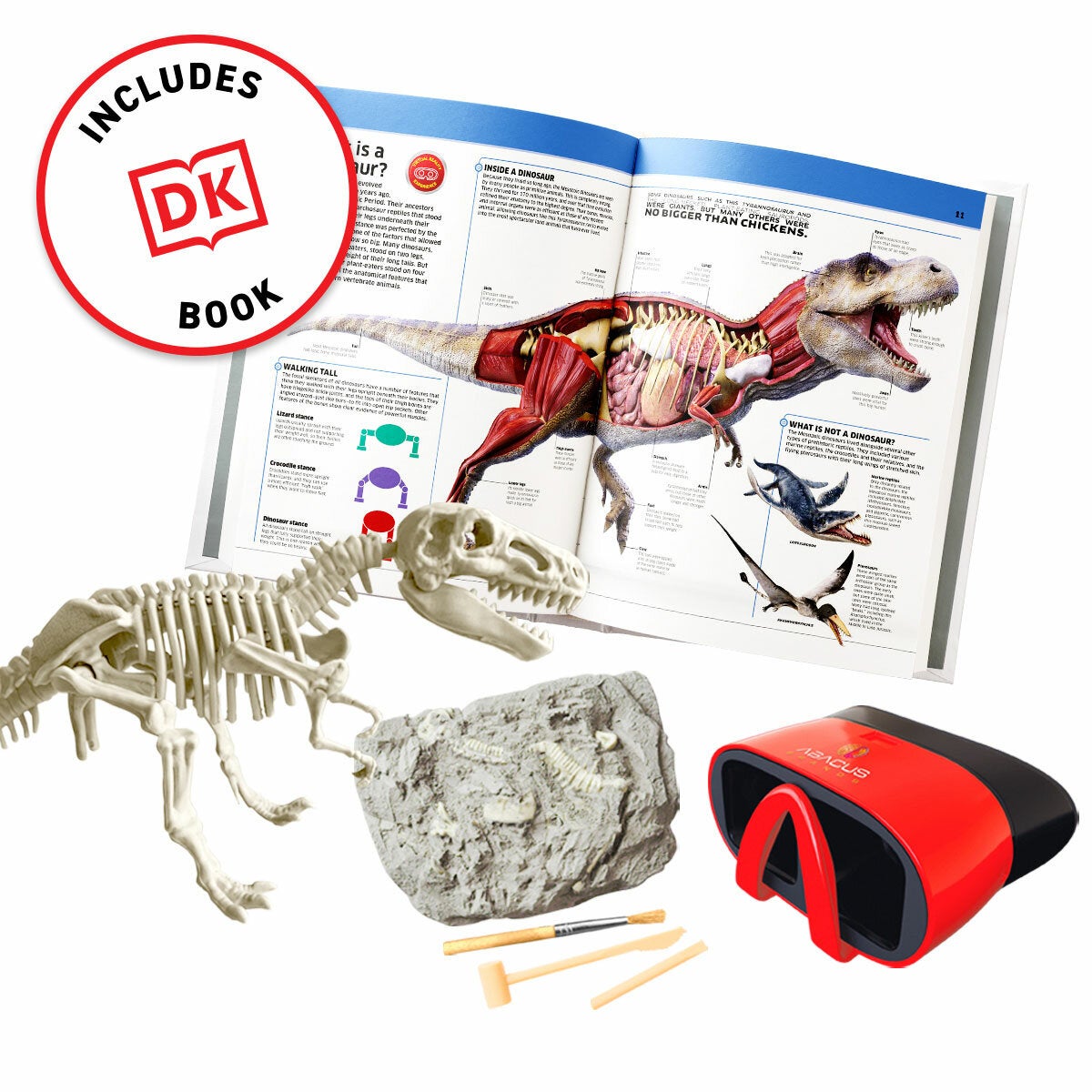 VR Box Set Dinosaur