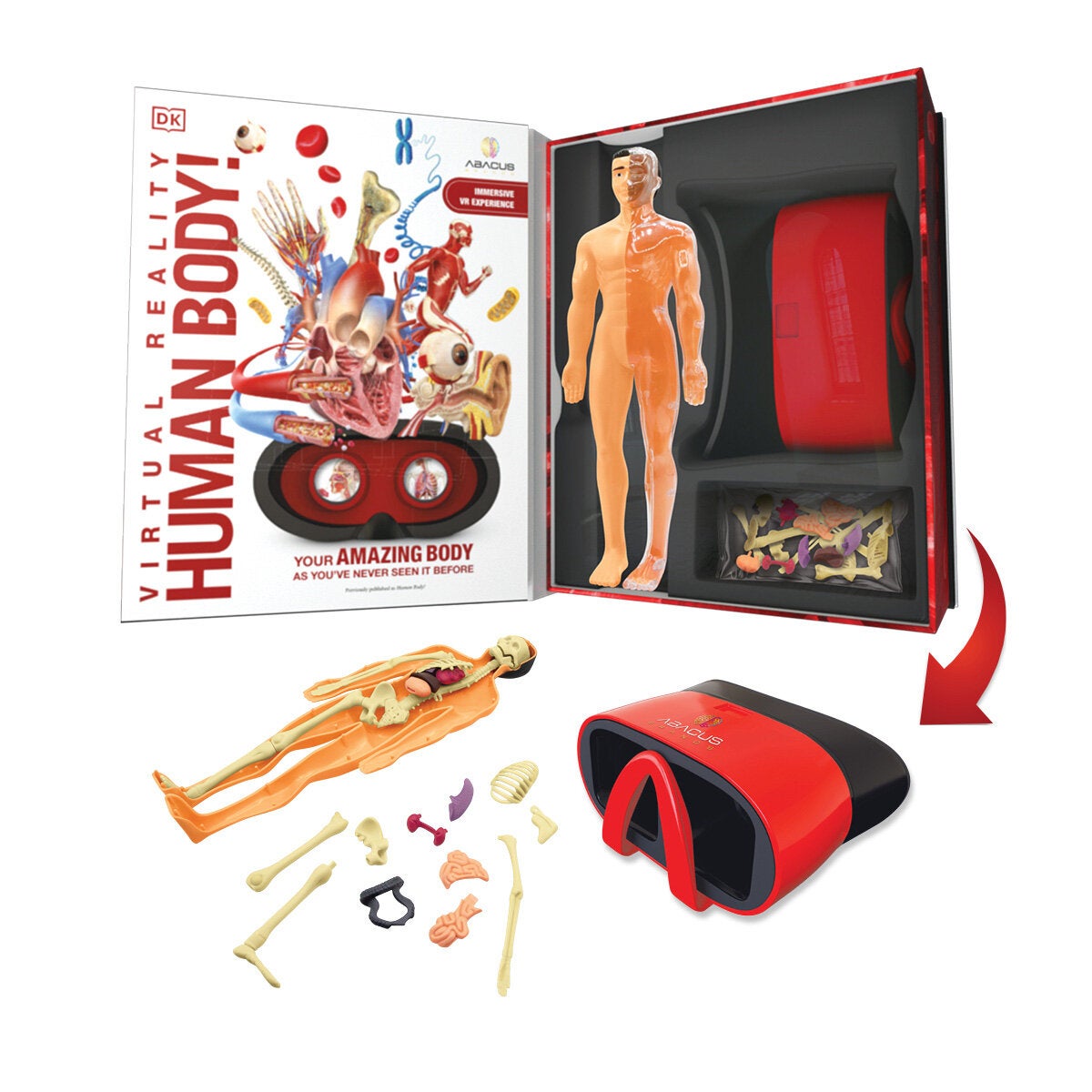 VR Box Set Human Body