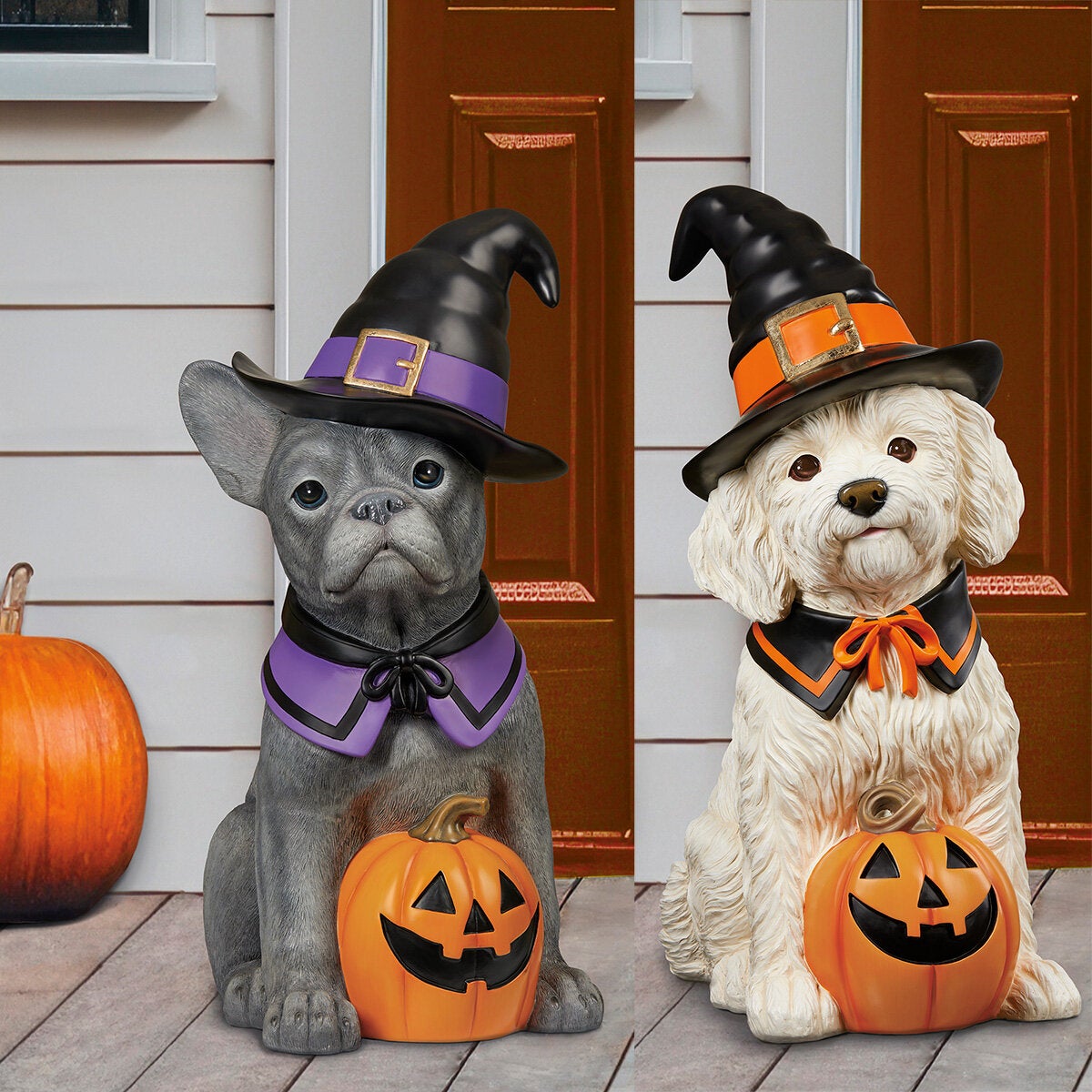 Halloween Dog Greeter