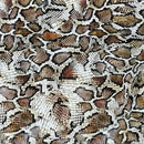100% Cotton Craft Snakeskin Print Fabric 54" – Brown Python - Bull Ring Fabrics