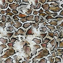 100% Cotton Craft Snakeskin Print Fabric 54" – Brown Python