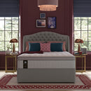 Sealy Posturepedic Elevate Ultra Rhapsody Plush Mattress in 4 Sizes