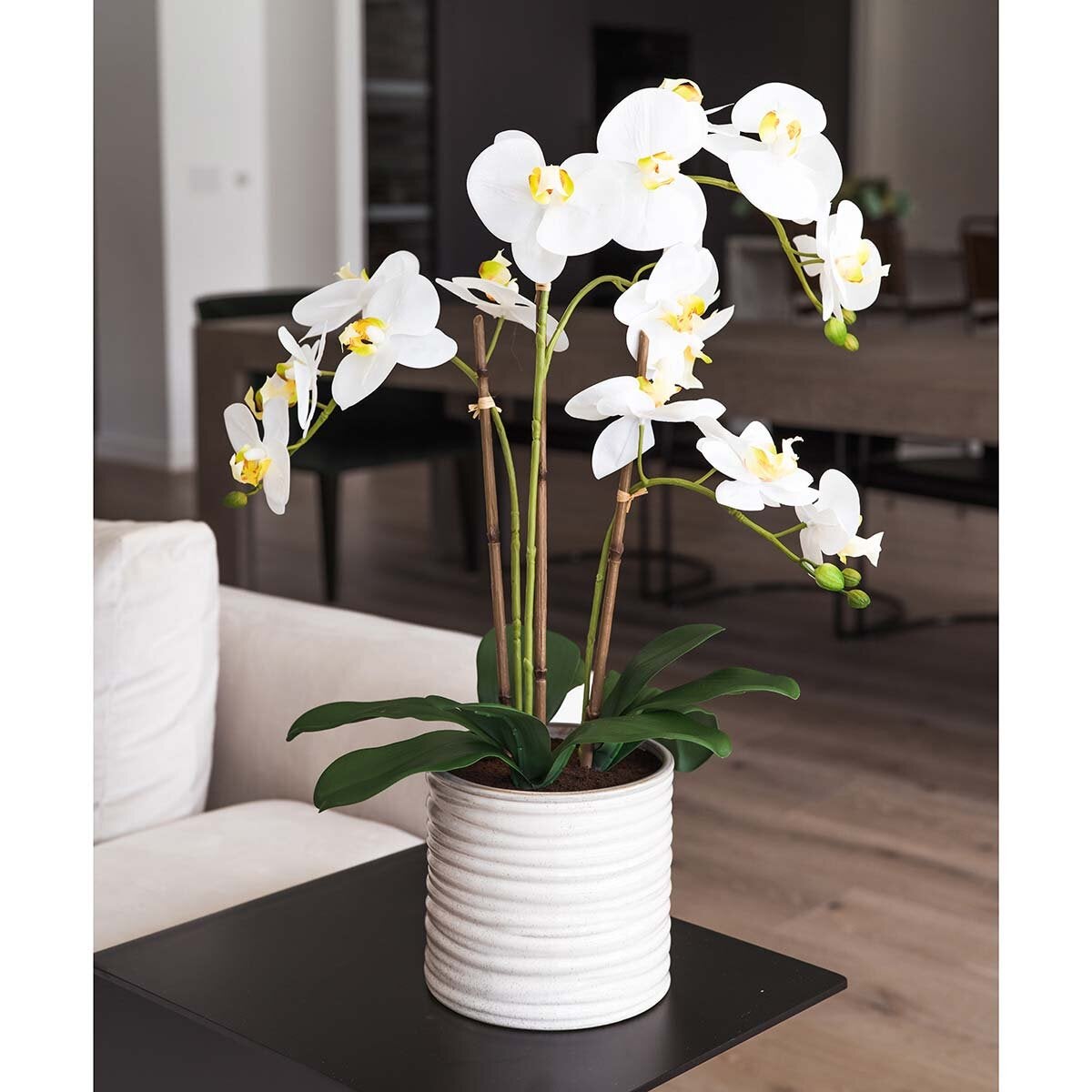 Artificial Orchid in Ribbed Ceramic Pot - White