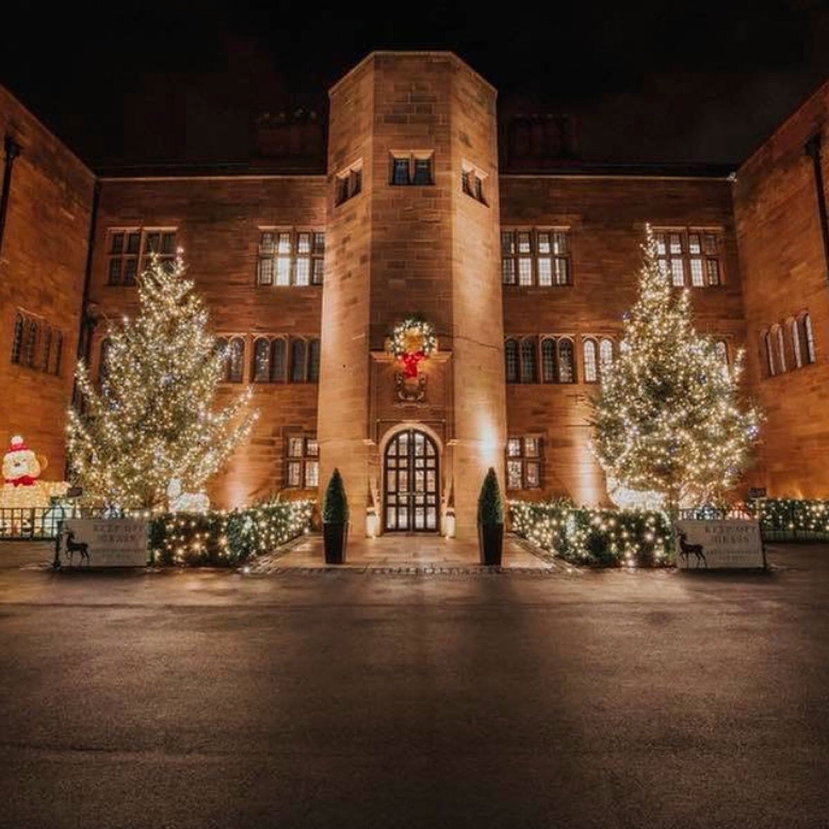 Lights4You 66ft (20m) 120 LED Warm White Outdoor String Lights
