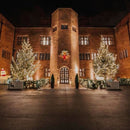 Lights4You 66ft (20m) 120 LED Warm White Outdoor String Lights