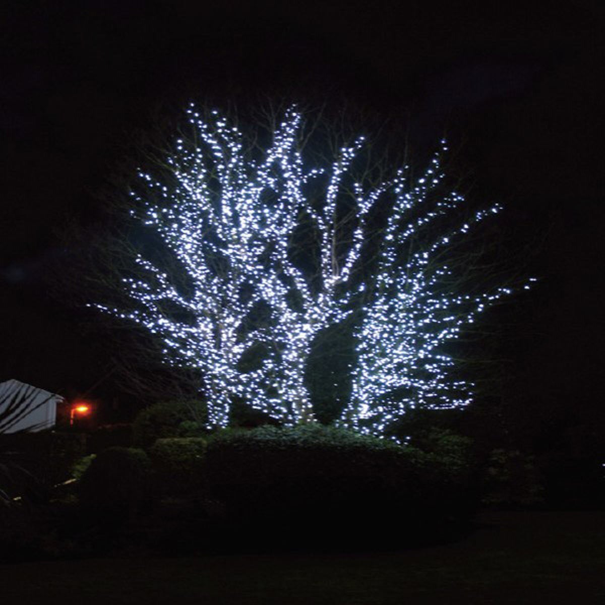Lights4You 66ft (20m) 120 LED Ice White Outdoor String Lights