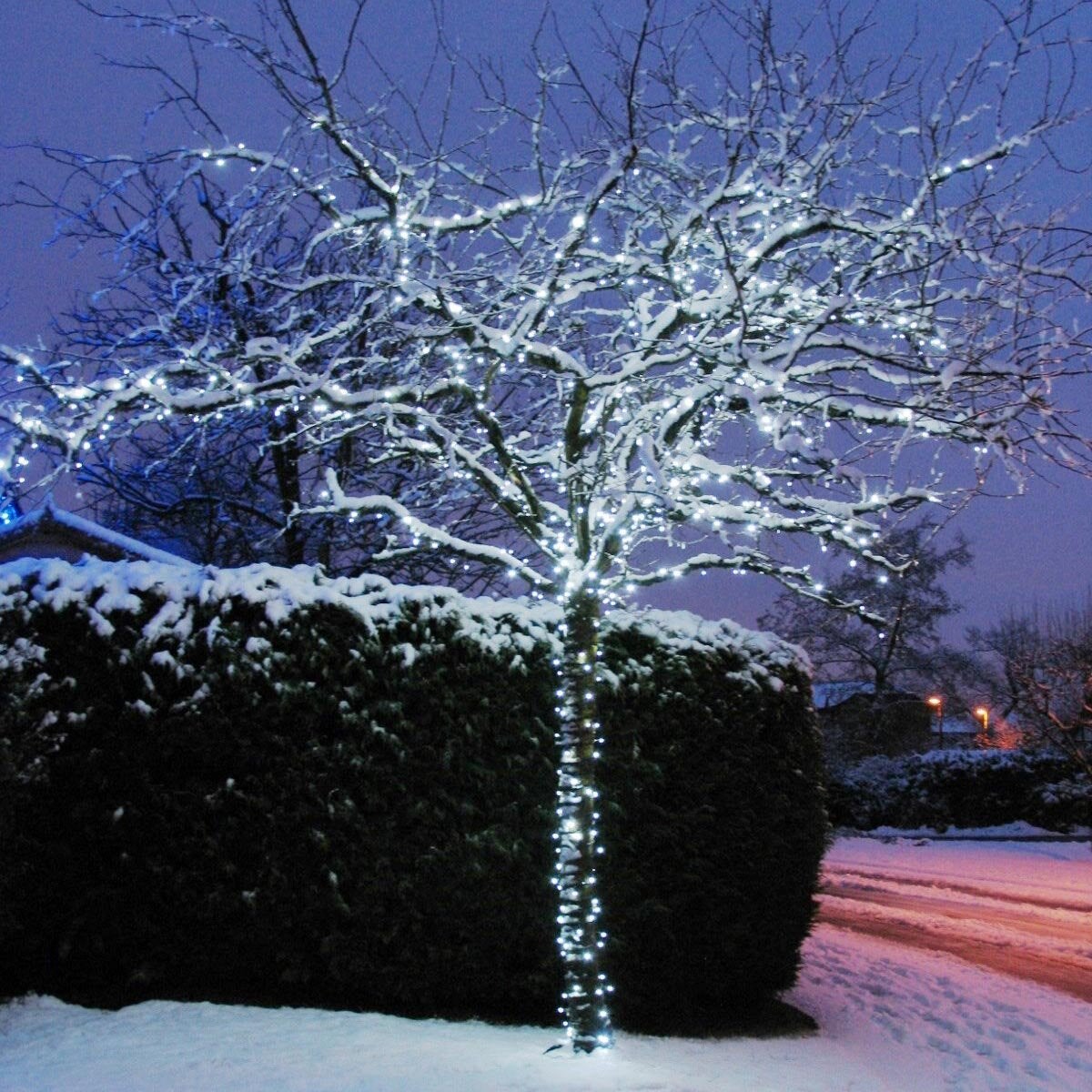 Lights4You 66ft (20m) 120 LED Ice White Outdoor String Lights