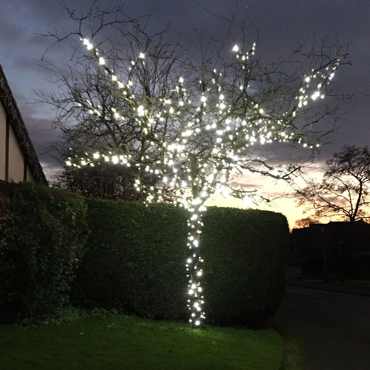 Lights4You 66ft (20m) 120 LED Ice White Outdoor String Lights