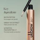 UK Brow Eyebrow Serum