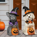 Halloween Dog Greeter