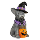 Halloween Dog Greeter