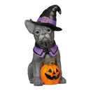 Halloween Dog Greeter