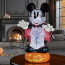 Disney Spinning Lantern