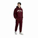 Aeropostale Men's Fleece Hoody - Burgundy