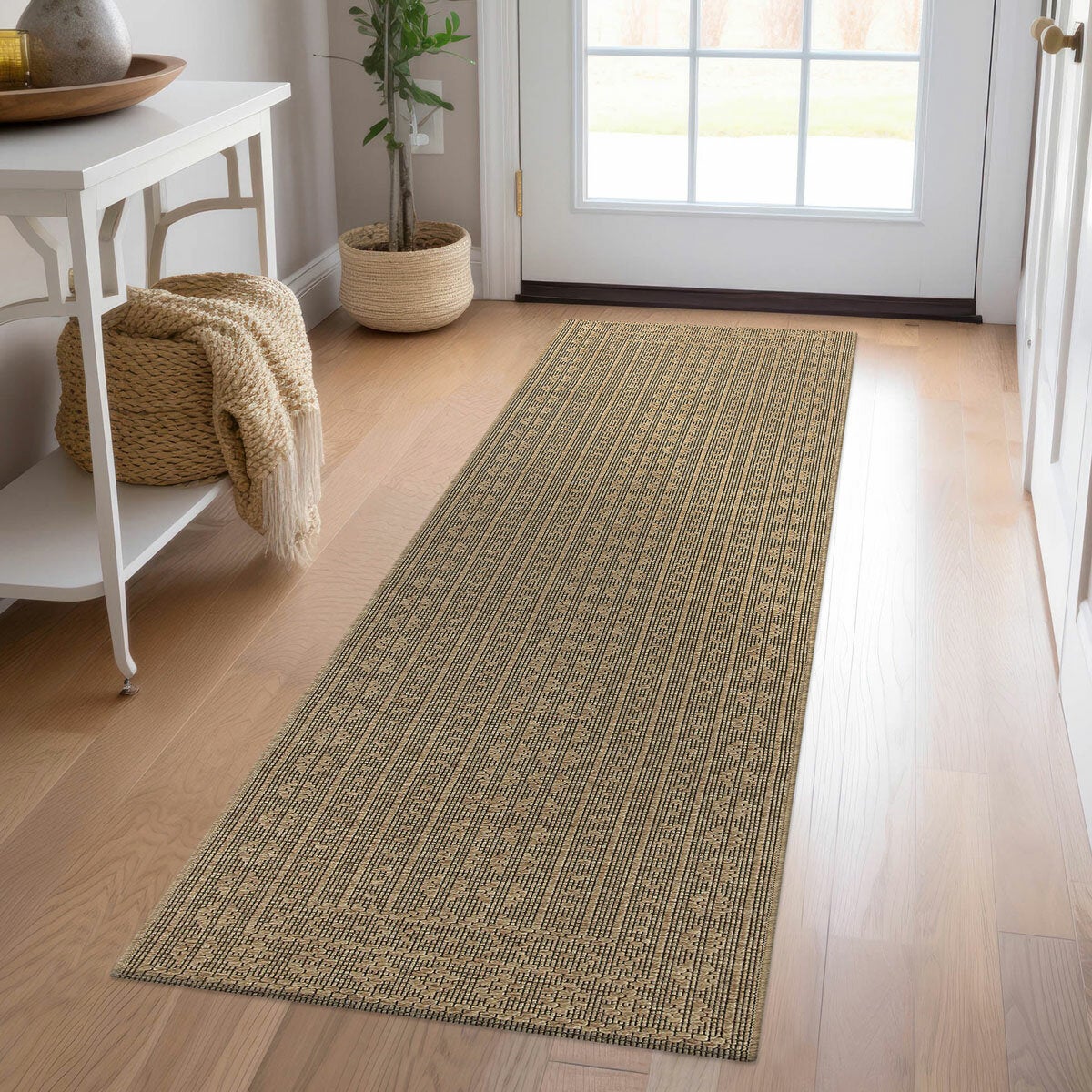 Mineral Spring Emerson Runner
