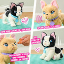 furReal The Train & Play Frenchie Assortment - 4+ Years