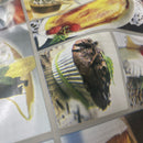 Oilcloth PVC Macrons Cakes Dessert Bar Printed Tablecloth 54"