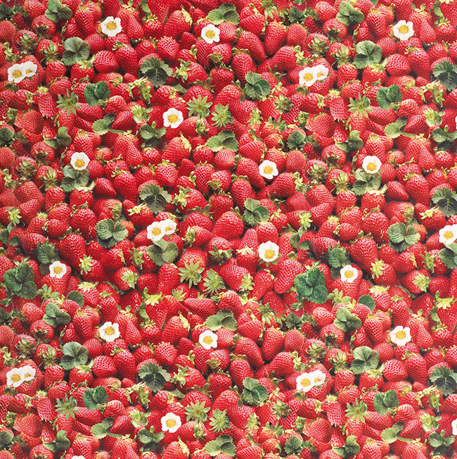 Strawberries Printed PVC Plastic Oilcloth Table Protector Fabric 140cm