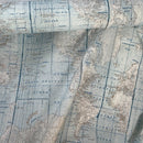 Cotton Rich Linen Look Fabric World Map Atlas Upholstery Curtain Cushion 54” - Bull Ring Fabrics