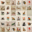 Cushion Bag Panels Animals Linen Fabric Kitten Dogs Rabbit Hare Peacocks 18x18" - Bull Ring Fabrics