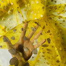 Metallic Glitter Gold Hearts Organza Fabric Dress Draping 150cm, Yellow - Bull Ring Fabrics