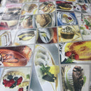 Oilcloth PVC Macrons Cakes Dessert Bar Printed Tablecloth 54" - Bull Ring Fabrics