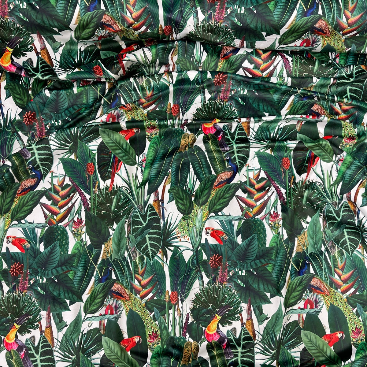 Rainforest Tropical Digital Print Plush Velvet Curtain Fabric, Natural - Bull Ring Fabrics