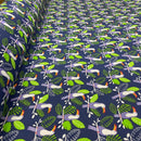 Wholesale 10 Metre Toucan Tropical Leaves Printed Polycotton Fabric 45” Wide | Jungle Bird Dressmaking, Quilting & Craft Fabric