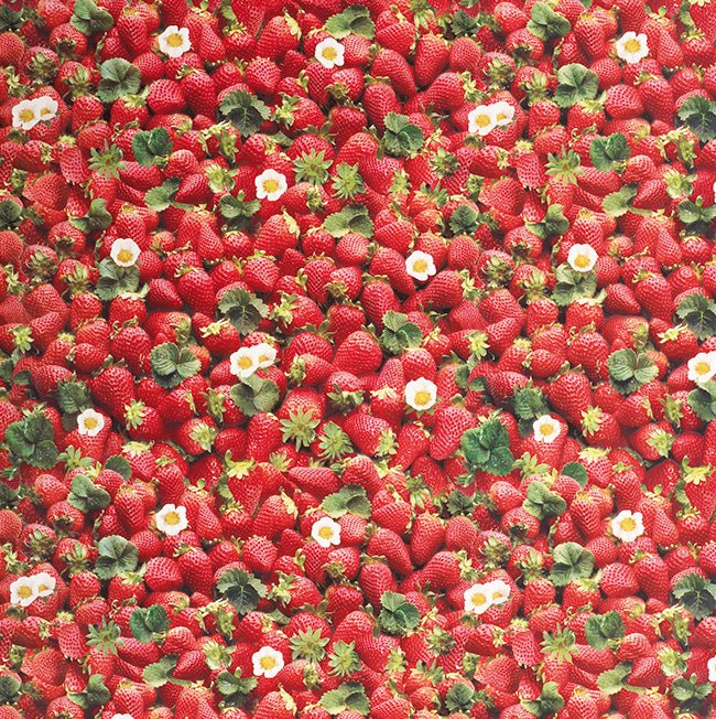 Strawberries Printed PVC Plastic Oilcloth Table Protector Fabric 140cm - Bull Ring Fabrics
