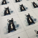 Kissenbild, Französische Bulldogge