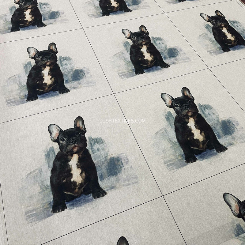 Kissenbild, Französische Bulldogge