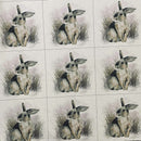 Cushion Picture Panel, Rabbit