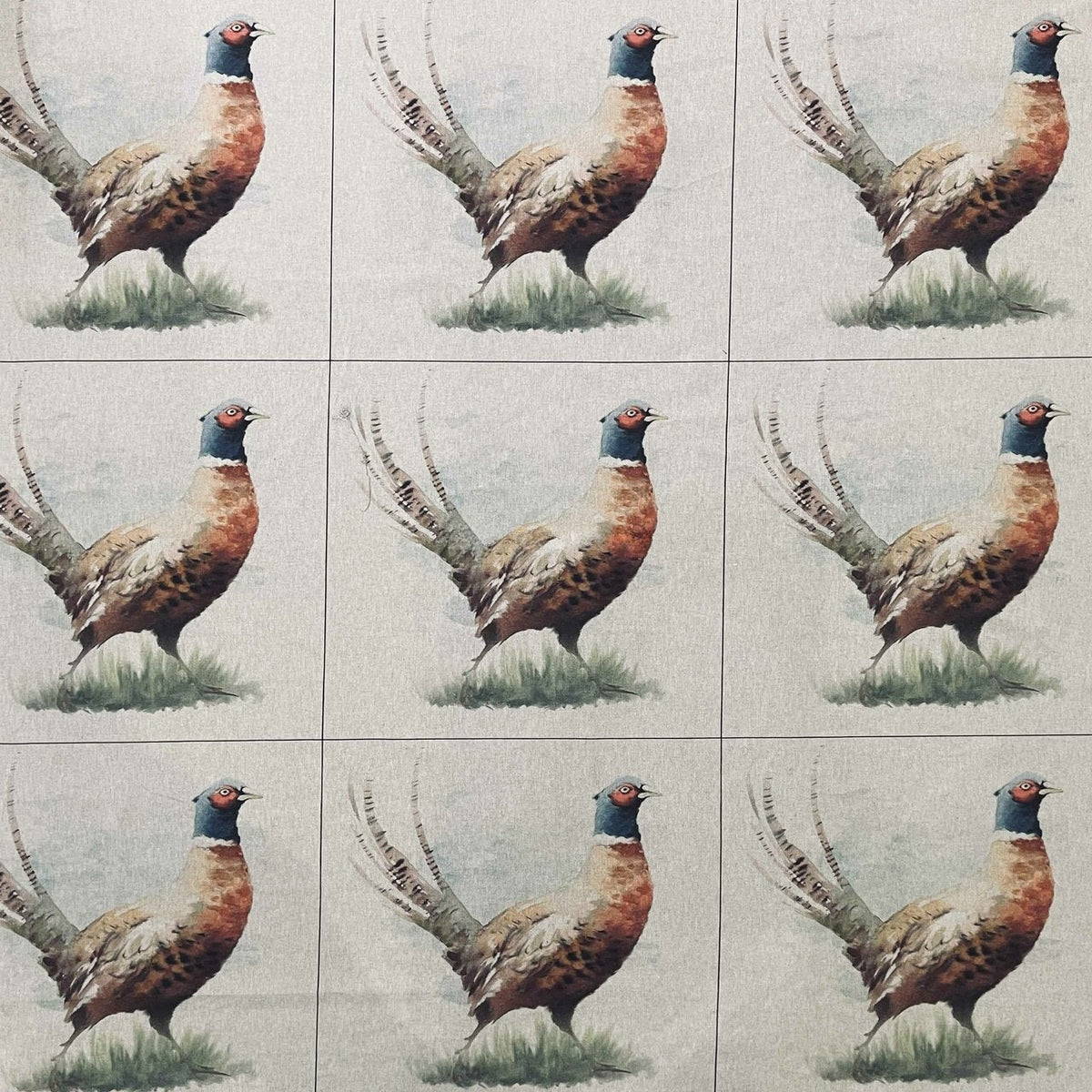 Cushion Picture Panel, Pheasant - Bull Ring Fabrics