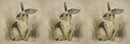 Cushion Picture Panel, Rabbit - Bull Ring Fabrics