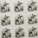 Cushion Picture Panel, Rabbit - Bull Ring Fabrics