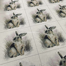 Cushion Picture Panel, Rabbit - Bull Ring Fabrics