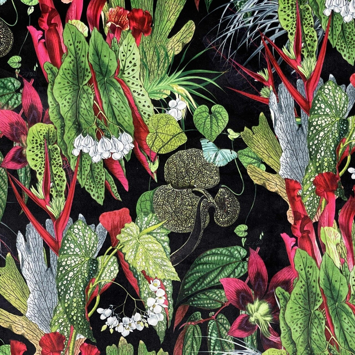 Exotic Digital Print Plush Velvet Curtain Fabric, Black - Bull Ring Fabrics