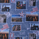 USA Attractions Collage Digital Print Cotton Fabric - Bull Ring Fabrics